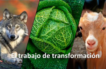 El trabajo de transformación