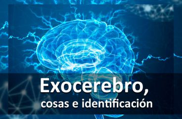 Exocerebro, cosas e identificación