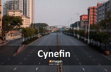Cynefin
