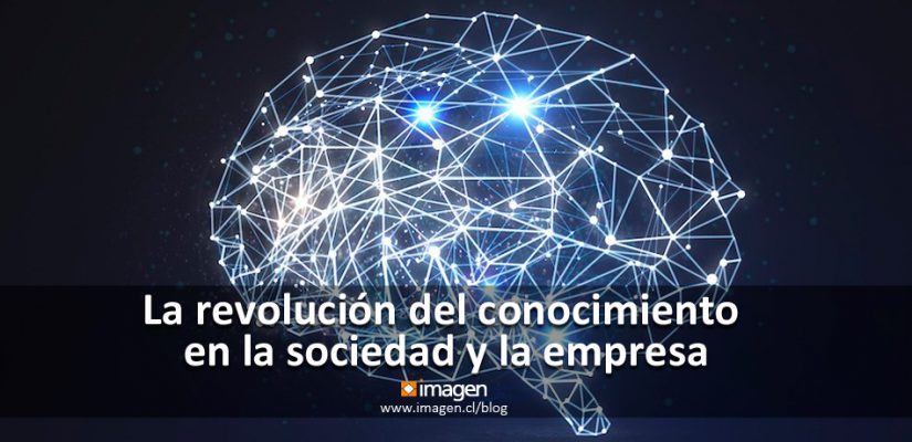 cerebro conocimiento