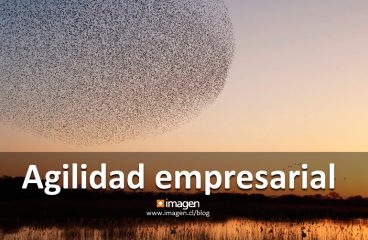 Agilidad empresarial