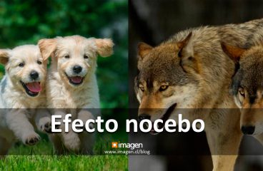 Efecto nocebo