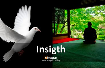 Insigth