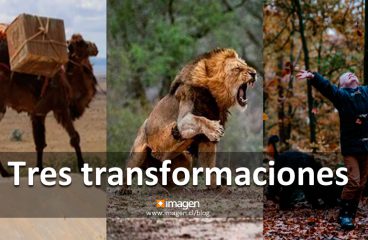 Tres transformaciones