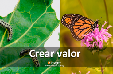 Crear Valor