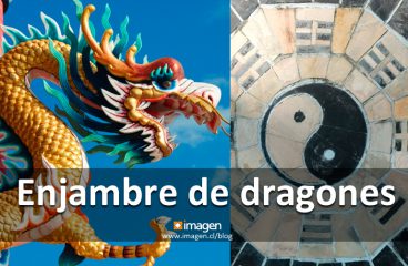 <strong>Enjambre de dragones</strong>