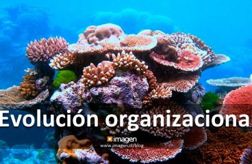 <strong>Evolución organizacional</strong>