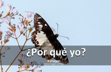 ¿Por qué yo?