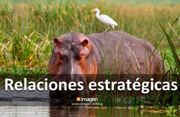 Relaciones estratégicas
