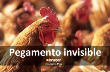 Pegamento invisible