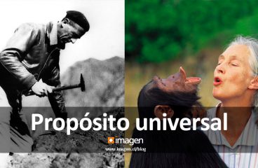 Propósito universal