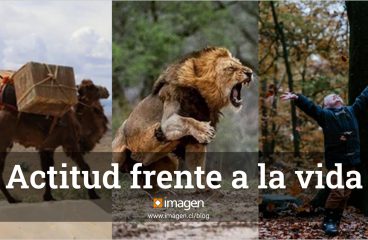 Actitud frente a la vida