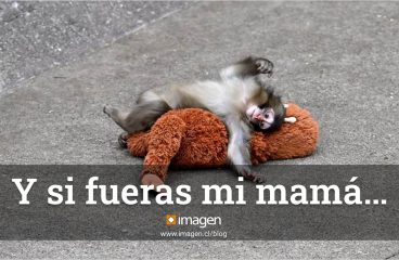 Y si fueras mi mamá…