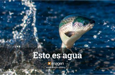 Esto es agua
