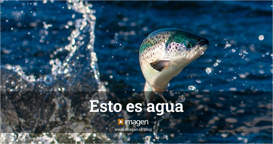 esto-es-agua